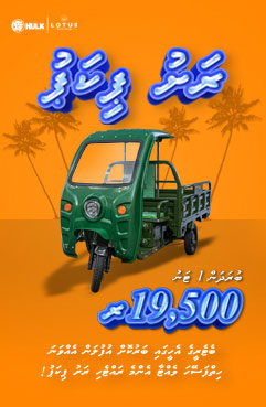 Lotus Bike Shop